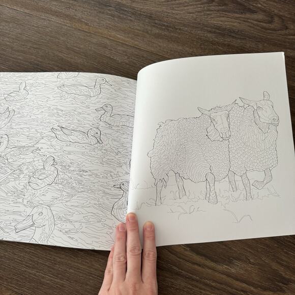 Adult Coloring Book Kaiser Colour Farm Yard Coloring Book - Picture 3 of 4